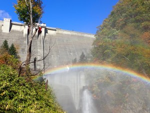 楽しい