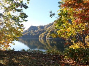 静かな湖面がきれい