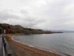 あちこちの紅葉を 見ながら帰った