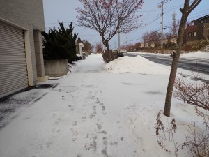 足跡が続く