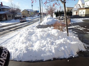 雪かきが大変