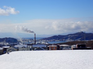 じっと眺める