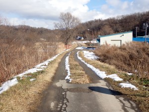 牧場の馬は見えない