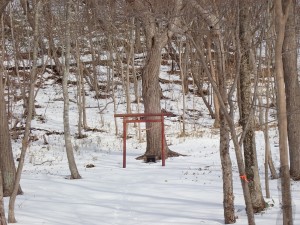 赤い鳥居