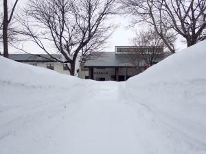 外人客が数人