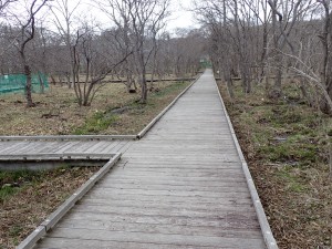 時々人とすれ違う