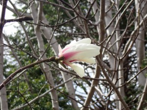 わくわく