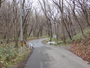 人はいない