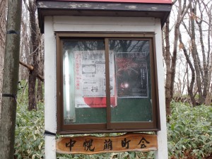 時々車