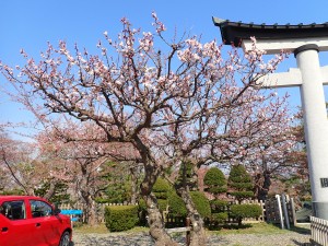感動