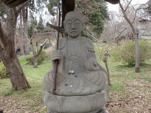 可愛いお顔