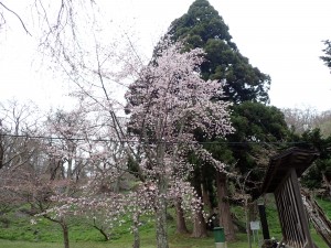 見事