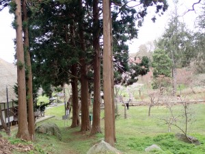 客が多い