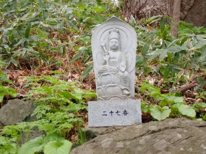 色々な顔