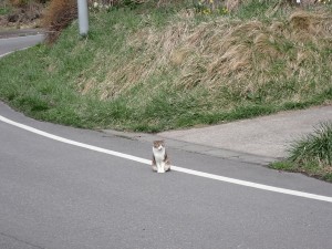 車に注意