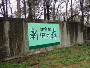広い敷地