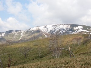 雪で大変
