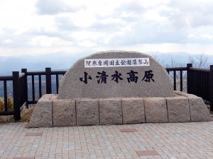 混んでいた