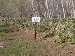 登山口