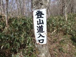 沢山登っている