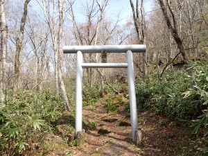 しっかりと
