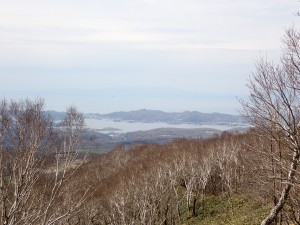 楽しい