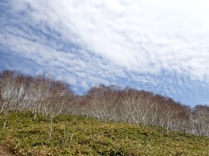 わくわく