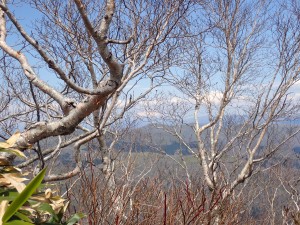 急な斜面の裏側