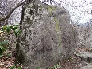 大きい