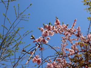 目に染みる
