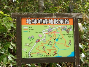 散策路を進む