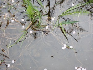 久しぶり