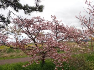 わくわく