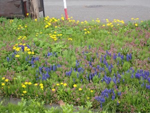 うれしい