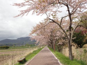 楽しい