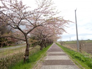 また来年