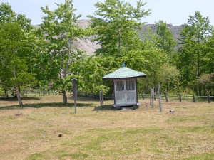 小さい社