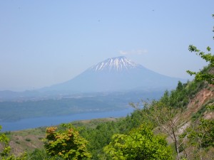 きれいだ