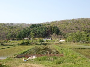 楽しかった