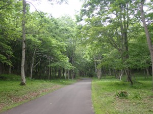 涼しい