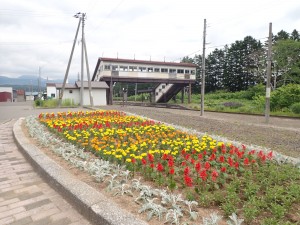 花壇と一緒に