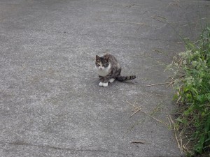 気を付けて