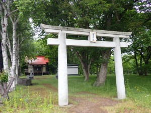 手入れがきれい