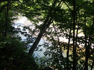 涼し気