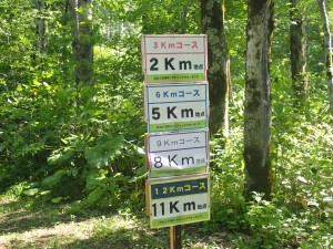 11kmは大変