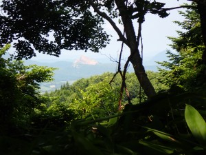 やっと開けた