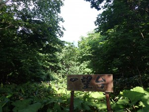 先客が休憩