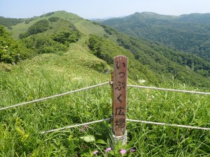 見晴らしがいい