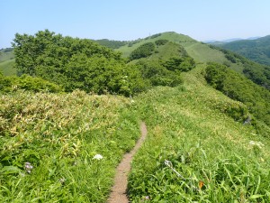 今日はここでおしまい