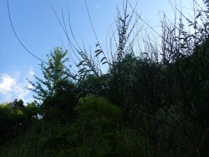 夕刻迫る